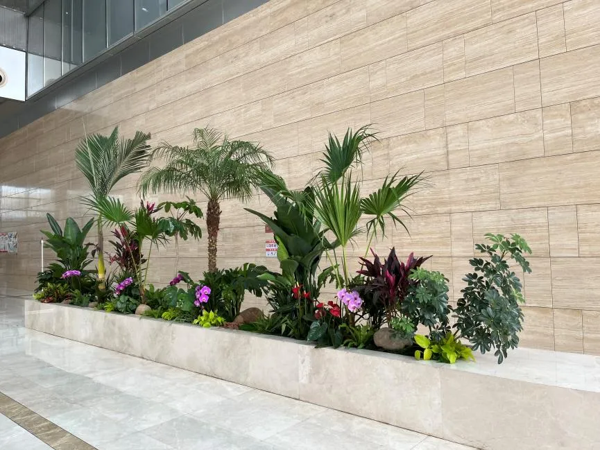 海曙花卉出租公司